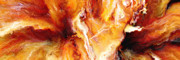 Poster / Fine Art Print Poster / Fine Art Print